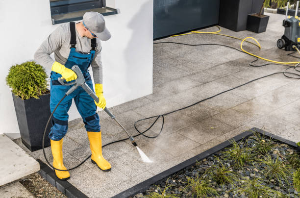 Best Local Pressure Washing Services  in Windom, MN
